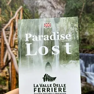 book here